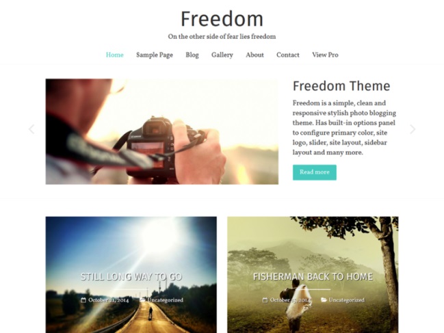 Freedom WordPress theme demo shows minimalist grid