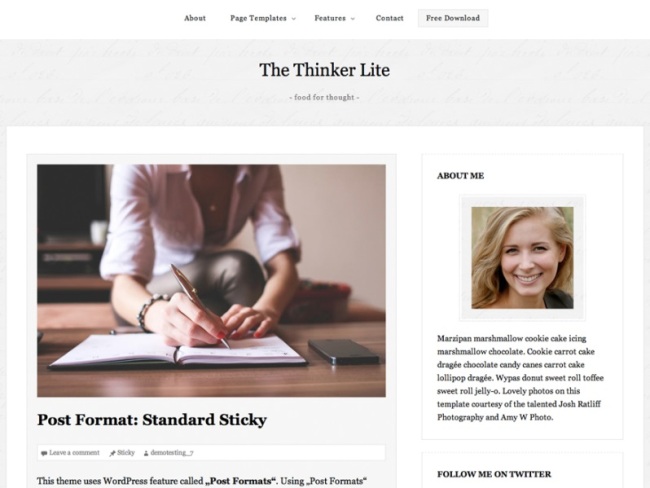 The Thinker Lite WordPress theme