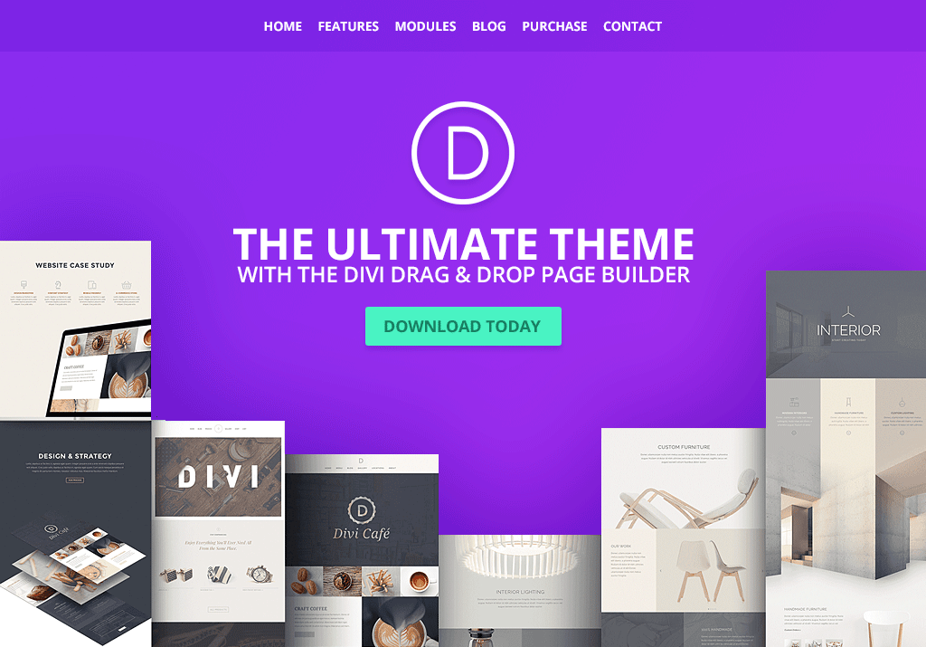 product page for the modern wordpress theme Divi