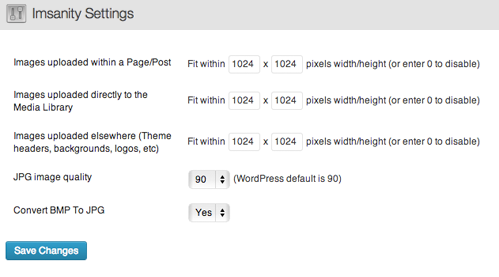 Using Imsanity plugin choose the maximum width or height for images to automatically scale and optimize them