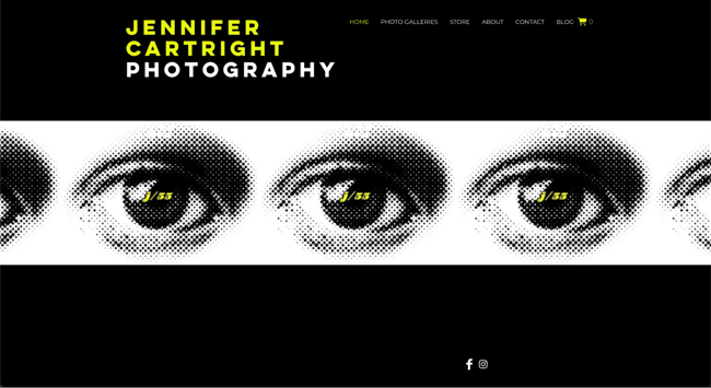 artist website example, Jennifer Cartright