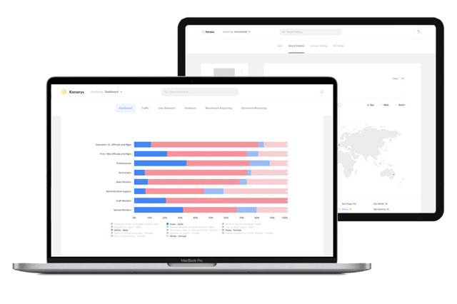 Kanarys DEI technology dashboard