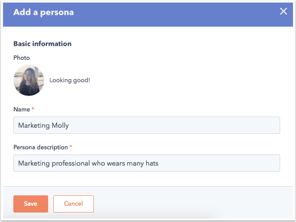 HubSpot form to add a buyer persona to a digital marketing strategy