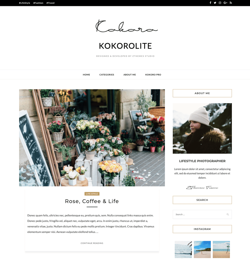 Kokoro Lite minimalistic WordPress theme