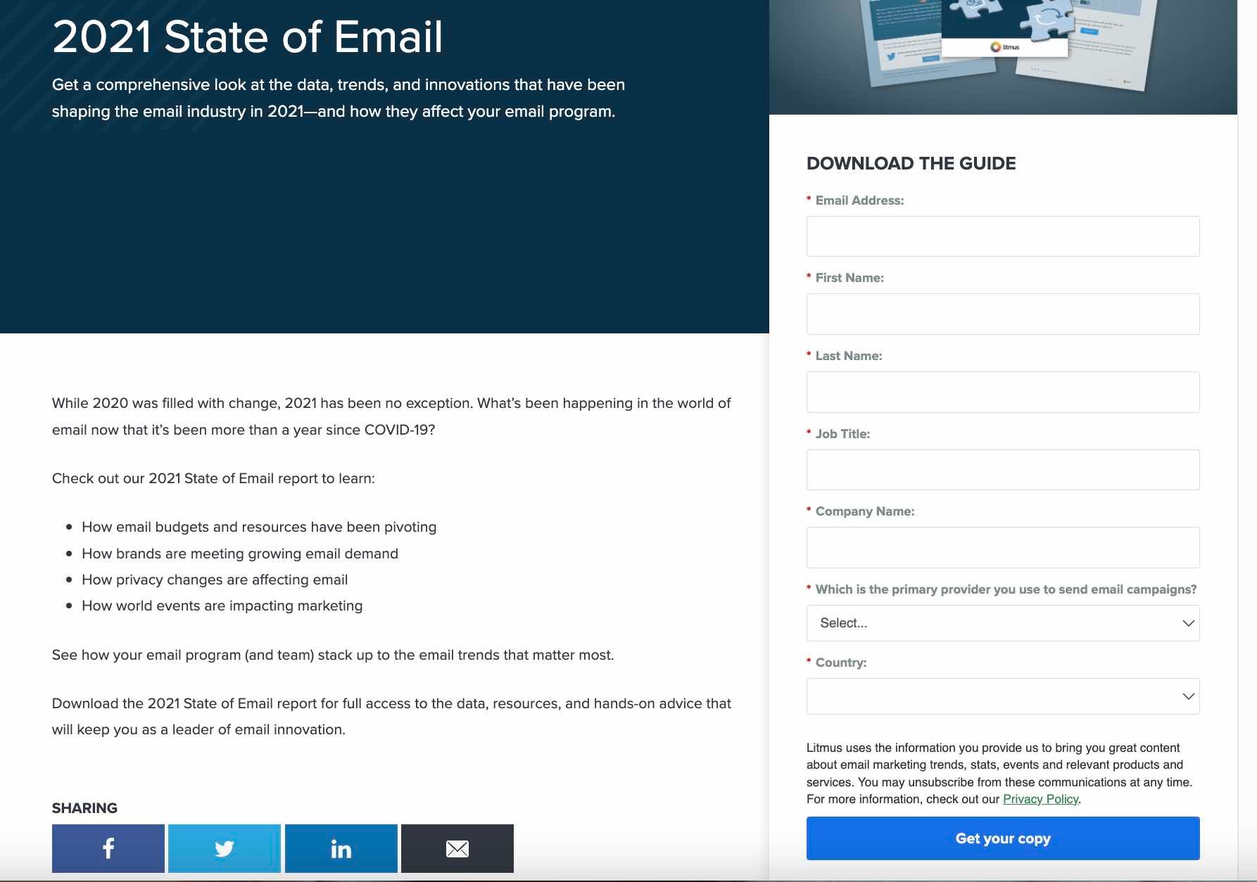 Lead-capture form on a landing page example