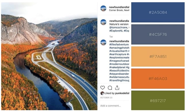 Newfoundland palette.jpg?width=650&height=391&name=Newfoundland palette - Color Theory 101: A Complete Guide to Color Wheels &amp; Color Schemes