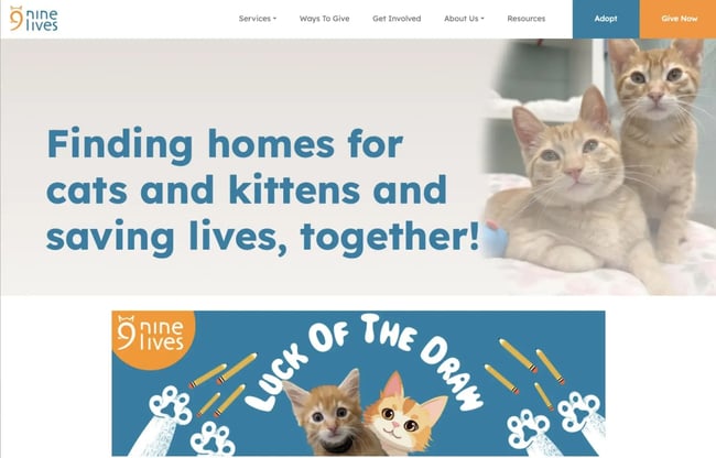 Homepage of Nine Lives Foundation.