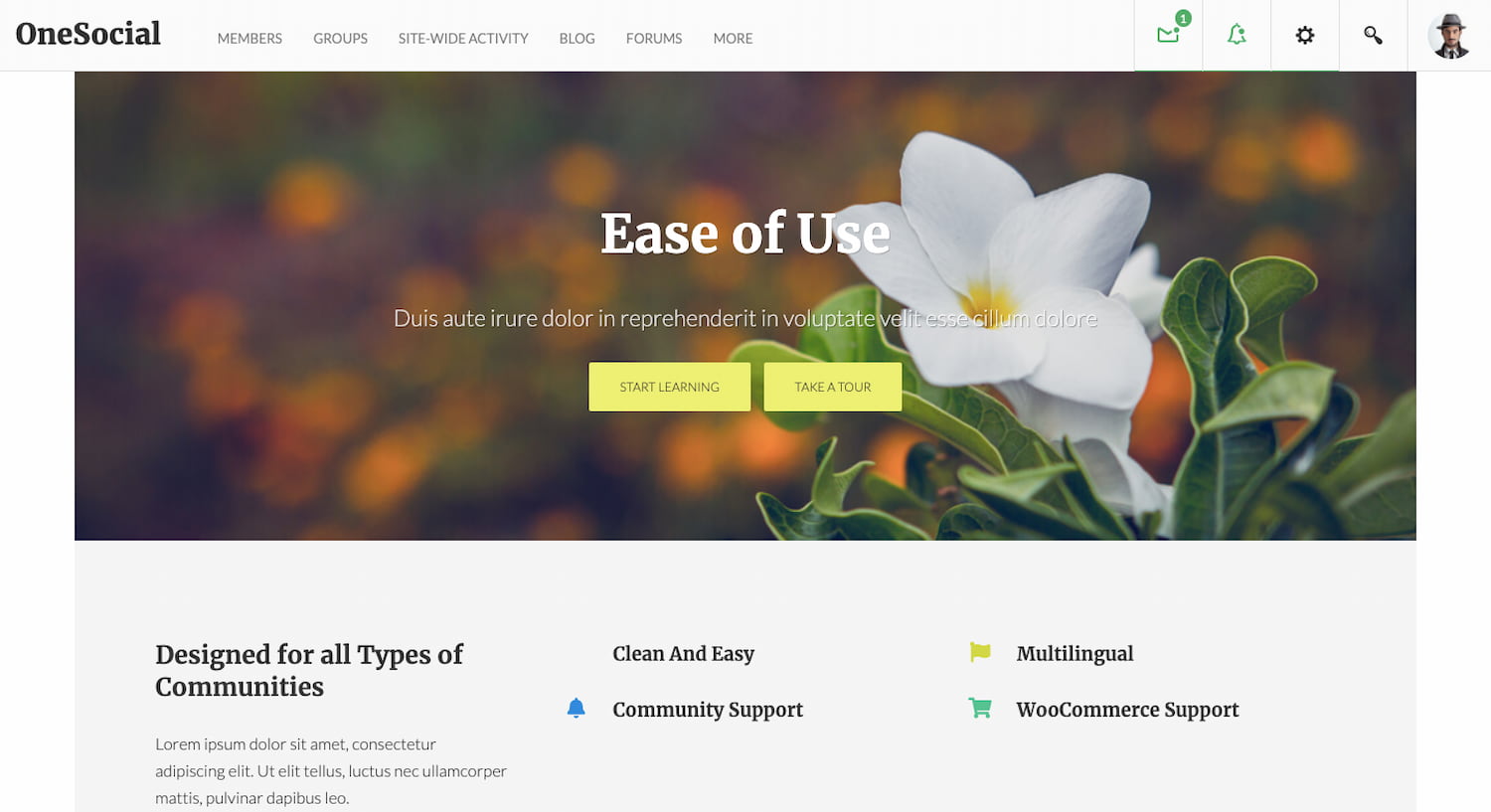 OneSocial theme demo shows a BuddyPress community website built on WordPress