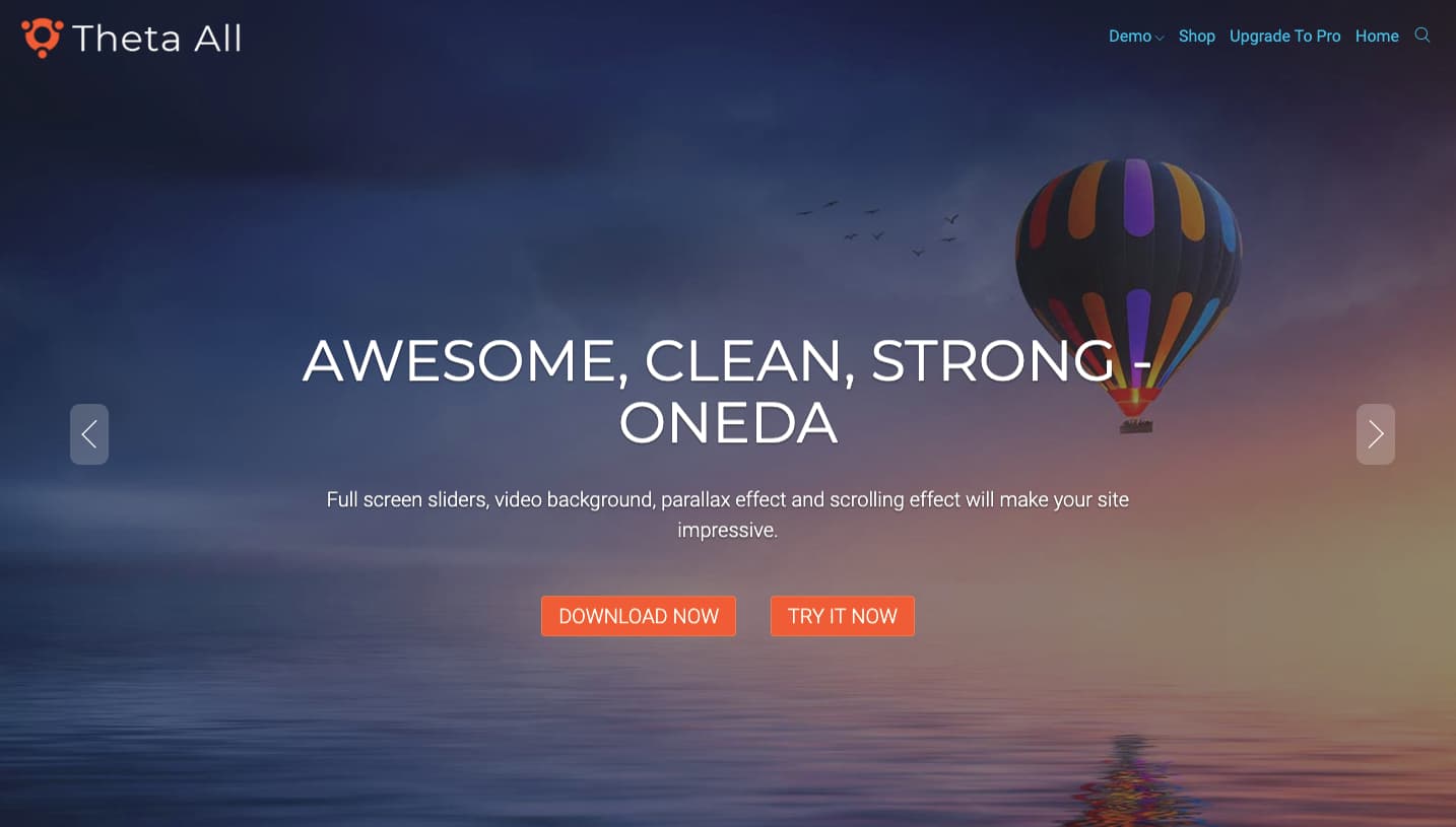 Oneda WordPress theme demo