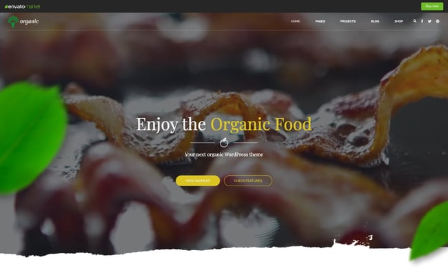 best eco friendly wordpress themes: Organic demo features video slider of chef cooking organic food