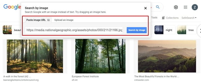 Pasted image url in Google for reverse image search