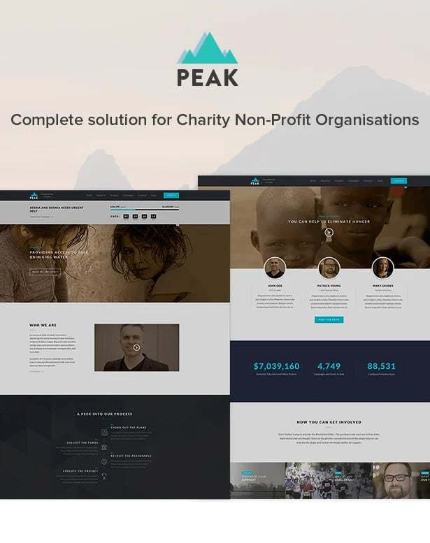 Peak NGO wordpress theme