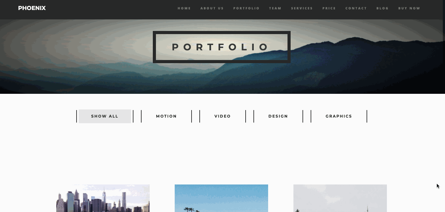 Masonry portfolio layout of Phoenix WordPress theme