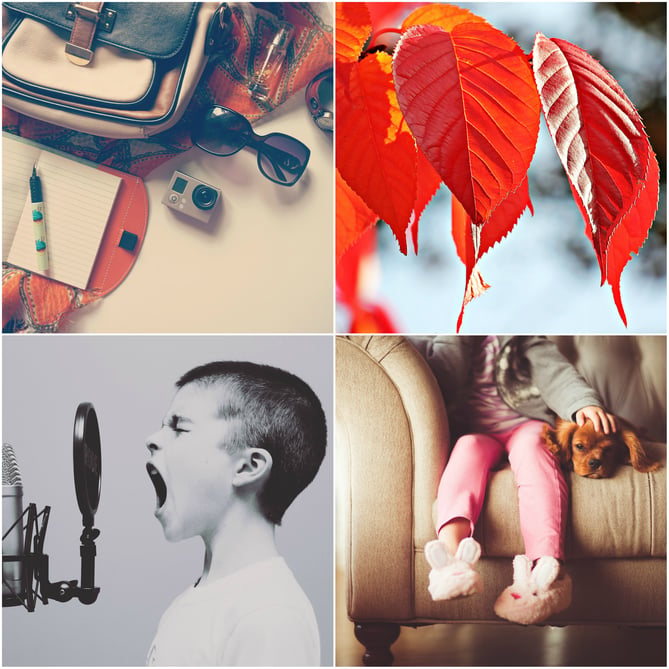 collage of free stock photos by Pixabay