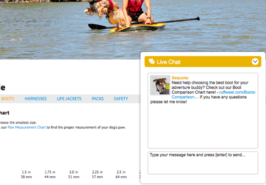 Proactive live chat window on bottom righthand corner of Ruffwear website