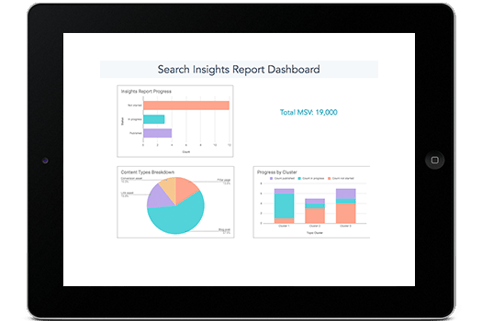 search insights report