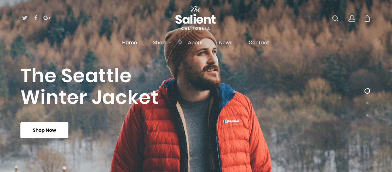 salient-woocommerce-wordpress-theme