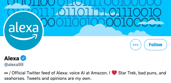 Funny twitter bio example from amazon @Alexa99