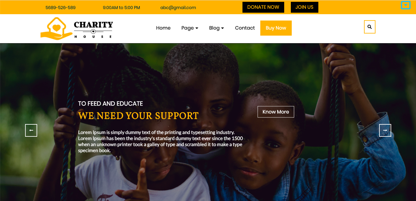 TS Charity WordPress theme demo