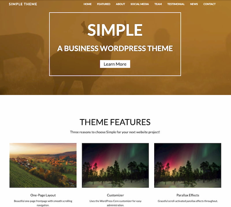 Simple Lite minimalist WordPress theme