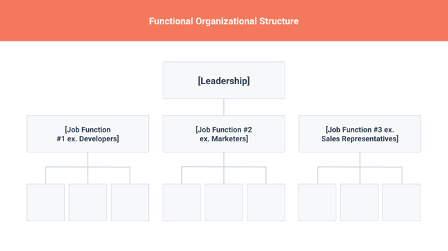 types of organizational structures: functional