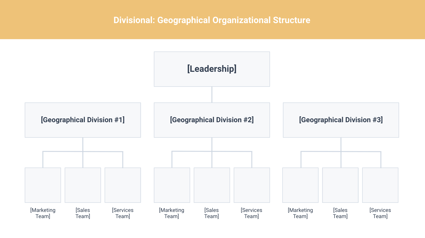 types of organizational structures: divisional geographical