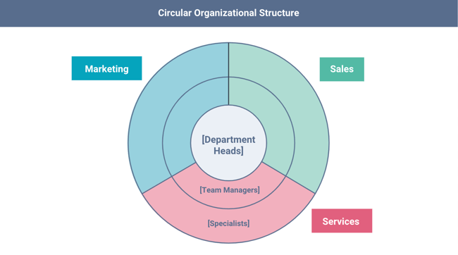 types of organizational structures: circular
