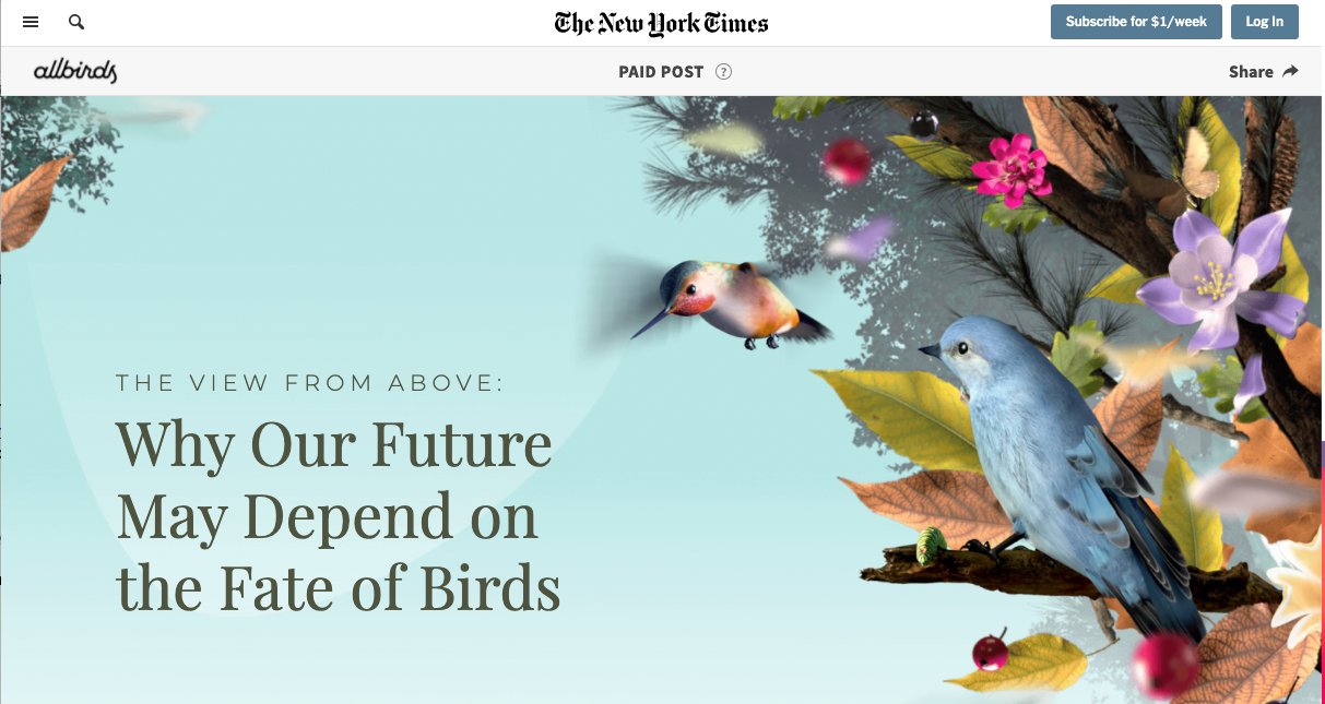 مثال تبلیغاتی بومی: Allbirds در نیویورک تایمز