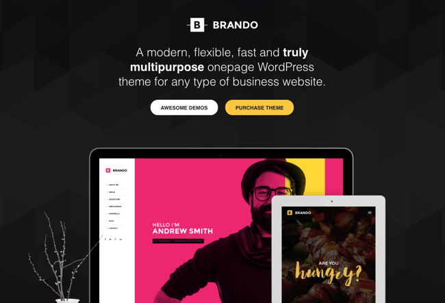 Fastest Loading WordPress Theme: Brando
