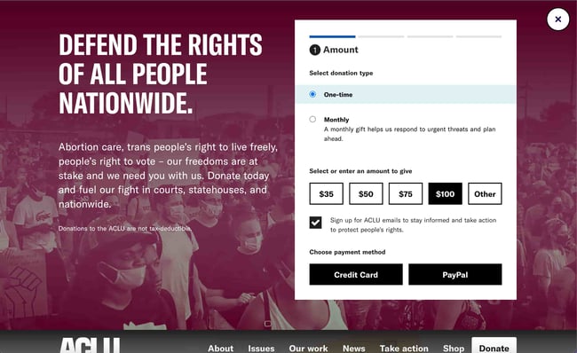 ACLU: accessible website examples 