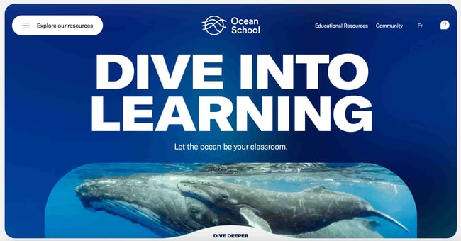 school websites examples ocean school home page 