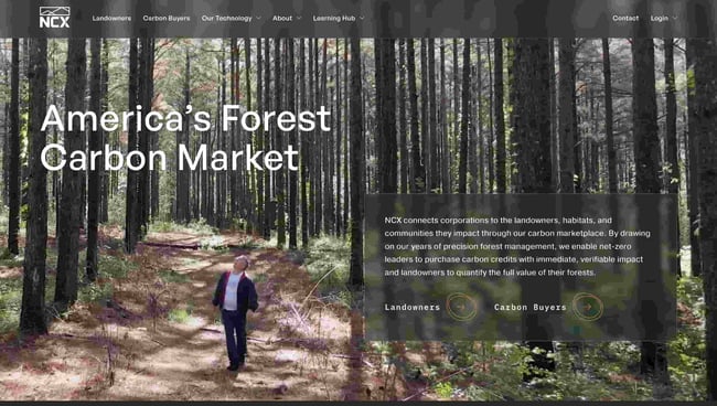 best natural websites homepage example: NCX shows a person walking through the woods surrounded by trees 