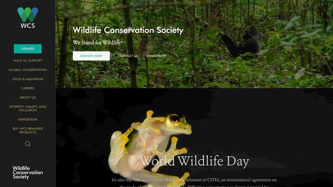 best natural websites: WCS homepage with a frog and trees in the middle 