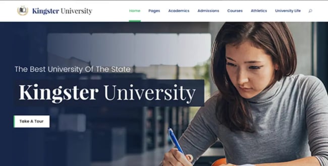 kingster university: education themes 