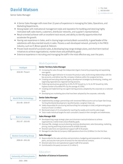 Senior Sales Manager Resume Example
