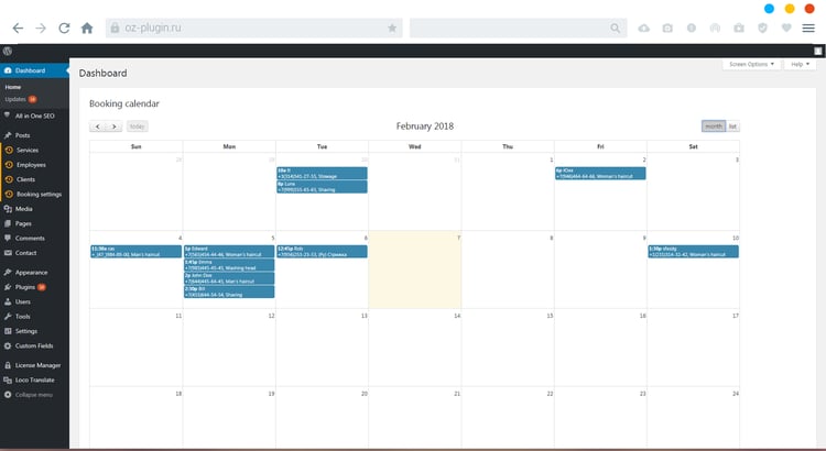 L'amministratore del sito che visualizza il calendario delle prenotazioni nella dashboard tramite Book Appoinment Online PRO