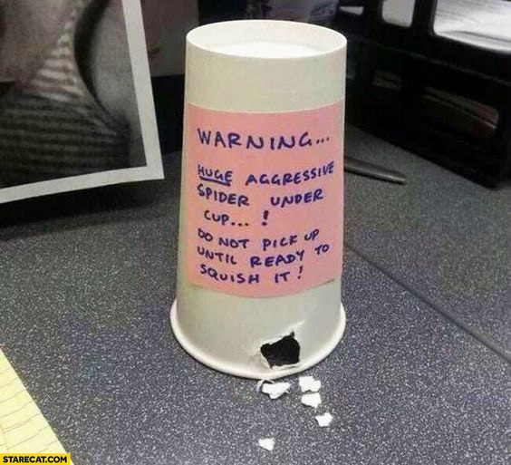 Social media users share snaps of office pranks
