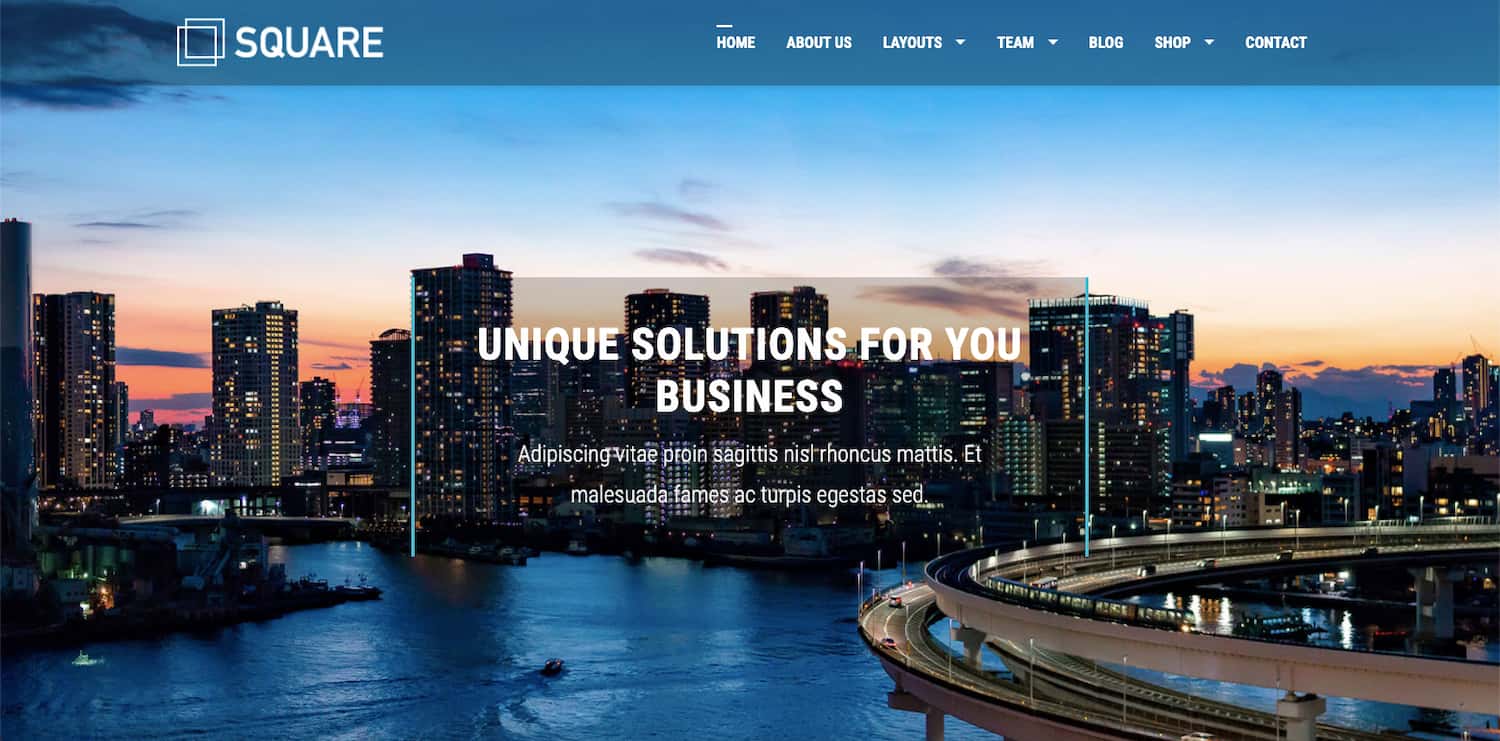 Square theme demo shows multipurpose theme thats compatible with BuddyPress plugin