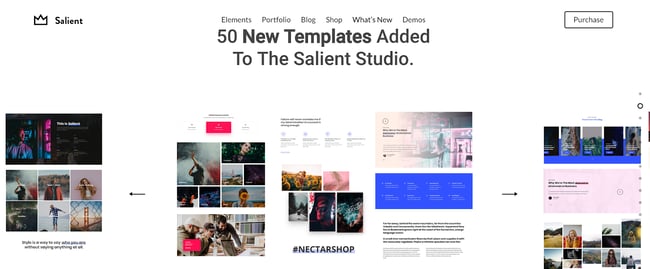 salient-wordpress-theme