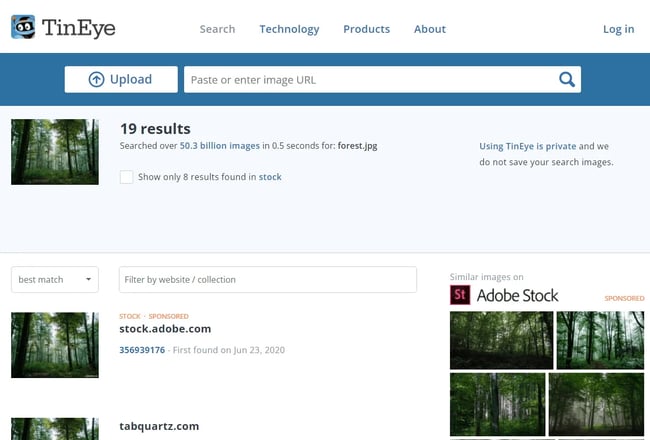 how to reverse image search: TinEye reverse image search results for image of forest