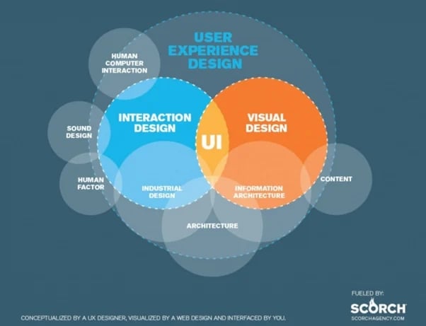 Difference between Information Architecture and UX graphic
