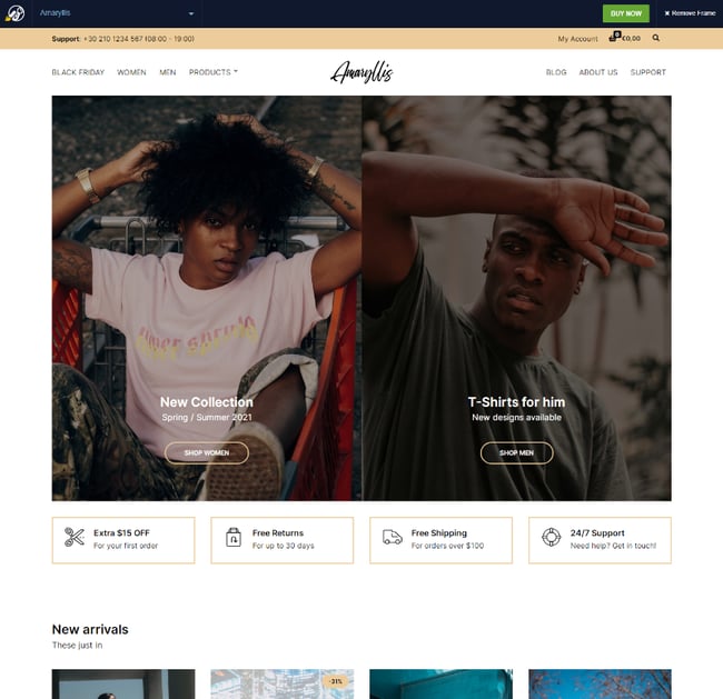 Best Retro WordPress Themes: Amaryllis