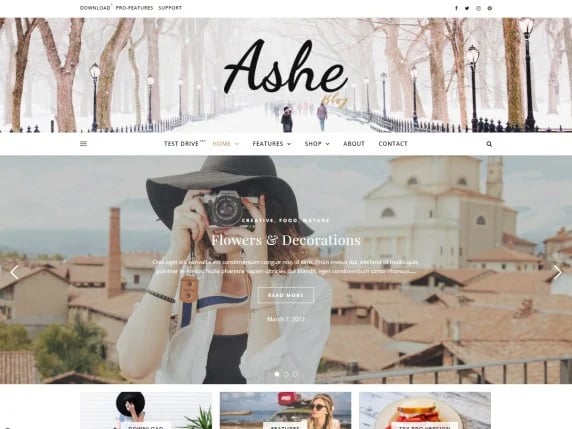 Free WordPress theme: Ashe