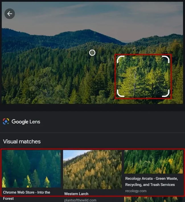 how to reverse image search: Using Google Lens to source similar images to treeline of an image