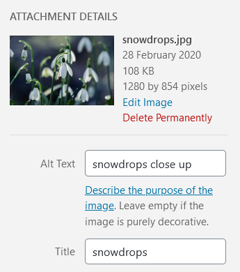 Adding alt text to an uploaded image in WordPress.