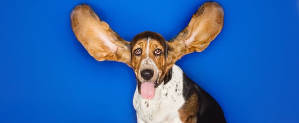 6 Phrases That Demonstrate Active Listening