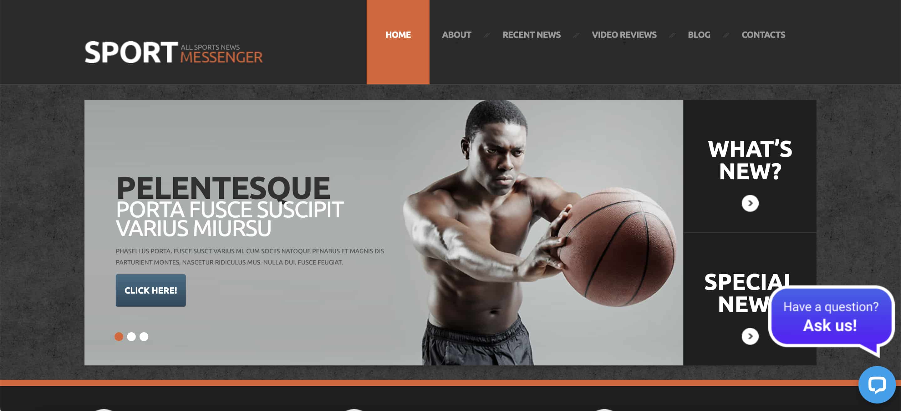 WordPress sports theme Sports News demo 