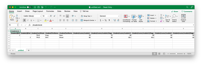 XML file opened in Microsoft Excel