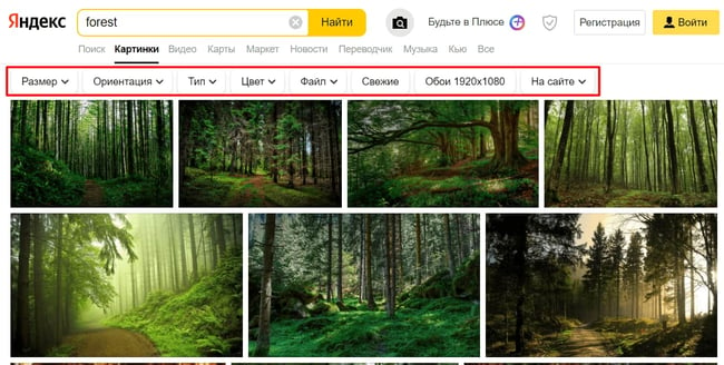 Yandex image search results for forest