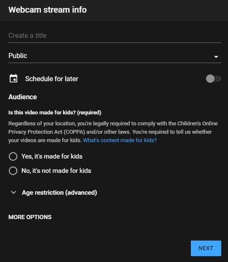 Screenshot of YouTube Live Information